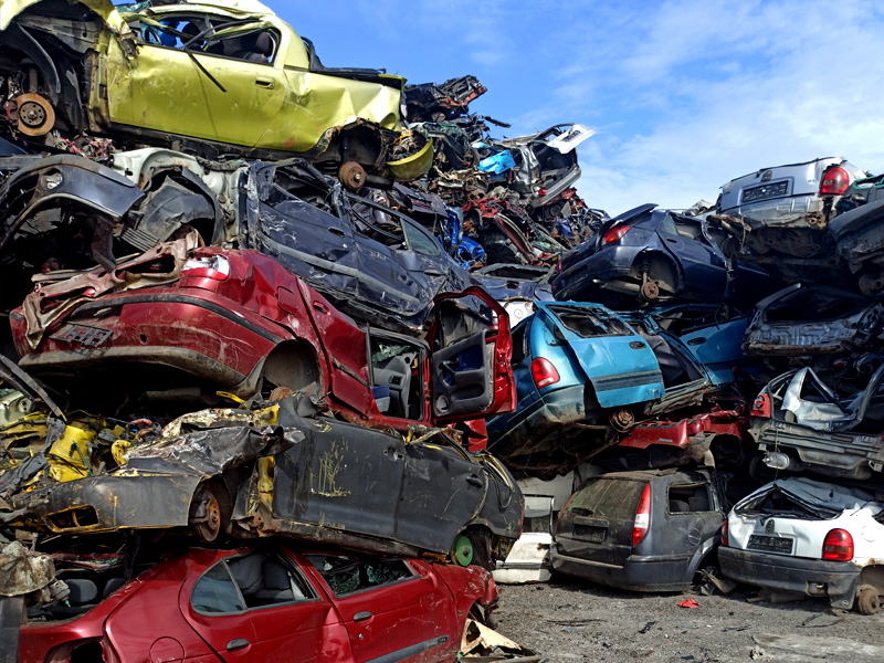 Personal Portfolio Images