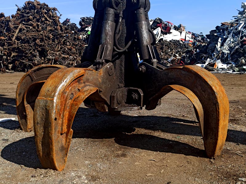 Personal Portfolio Images