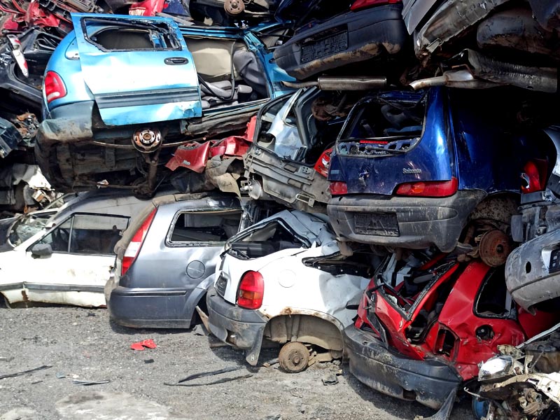 Personal Portfolio Images